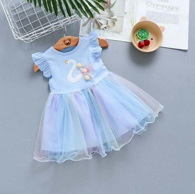 Tulle Skirt Baby Girl Dress